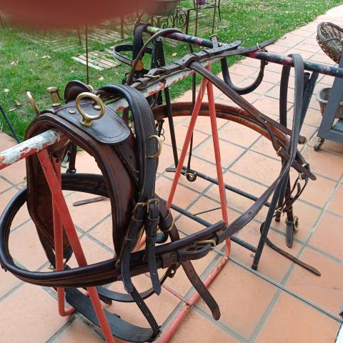 harnais attelage cuir petit  cheval