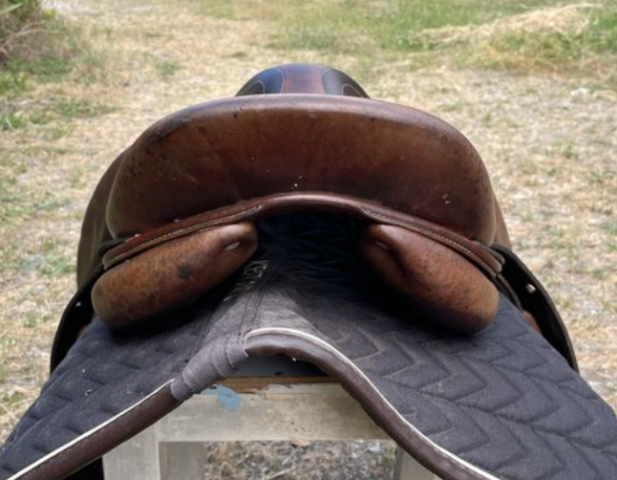 Selle Antares 15"