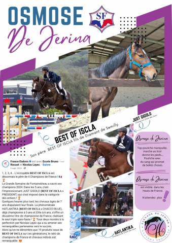 1 an fille de best of iscla par diamant de semilly
