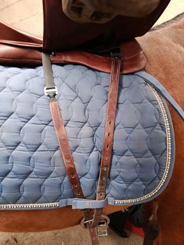 Selle de dressage WOW 