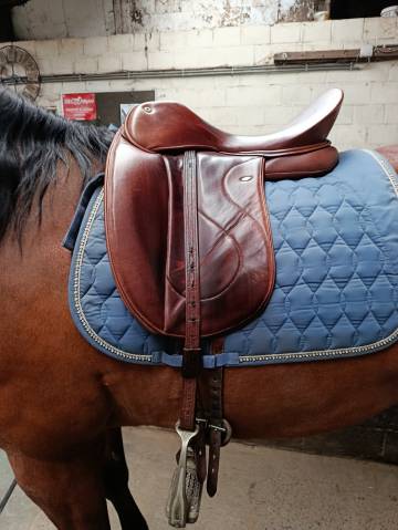 Selle de dressage WOW 