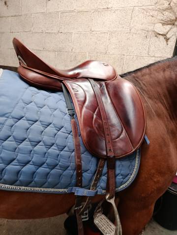 Selle de dressage WOW 