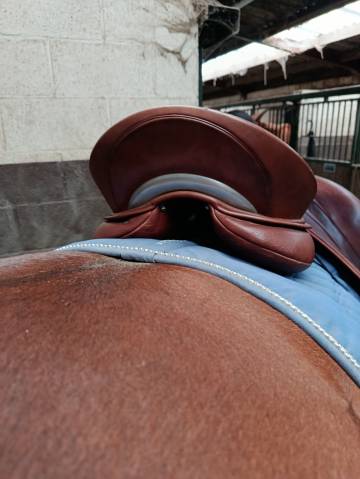 Selle de dressage WOW 