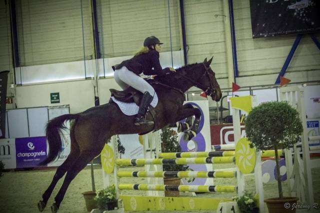 Demi-pension jument d’expérience