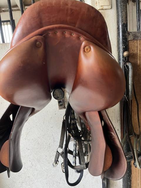 Selle mixte Childeric 