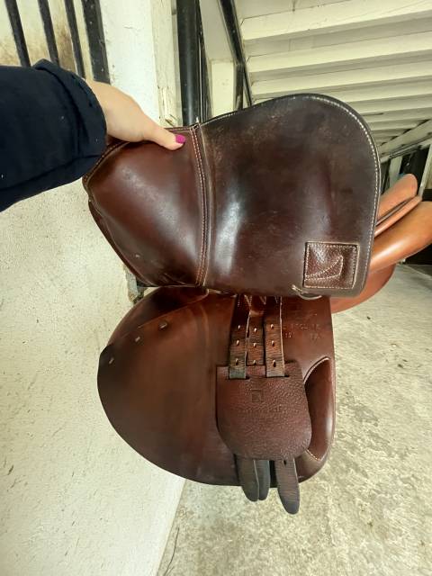 Selle mixte Childeric 