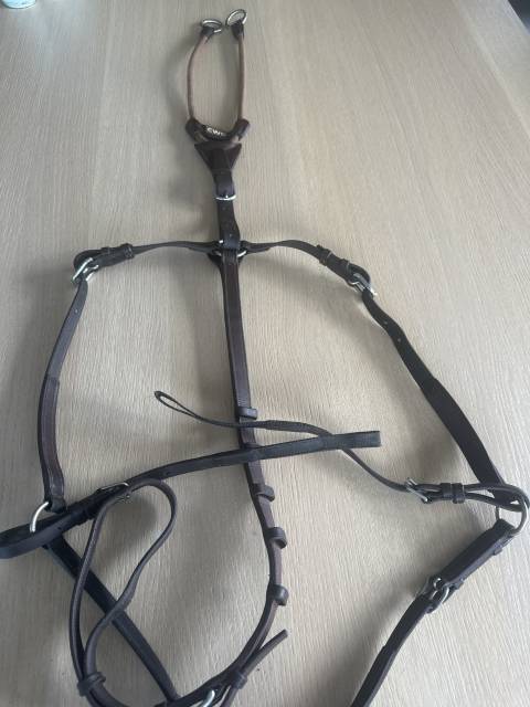 Collier de chasse avec martingale 