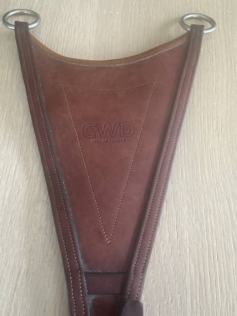 Fourche martingale, Cwd