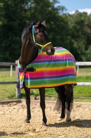 Chemise polaire Rainbow rayures multicolores - HKM - 100% polyester