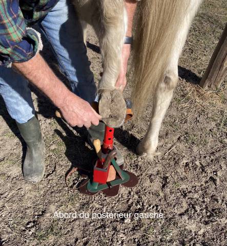 Trépied de maréchalerie « tout en un »