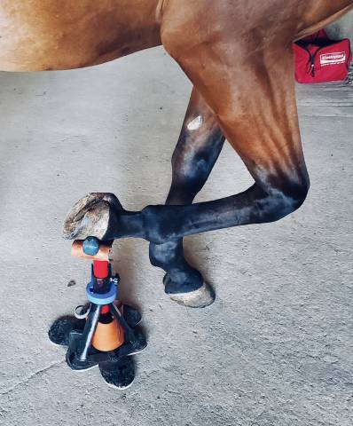 Trépied de maréchalerie « tout en un »