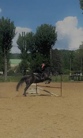 Recherche apprentissage urgent 