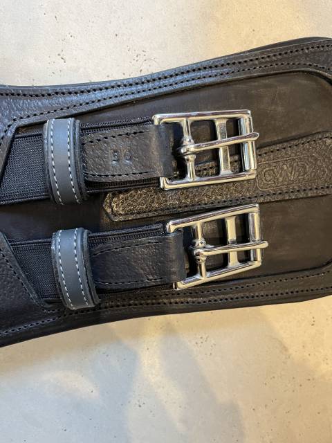 Sangle de dressage courte CWD