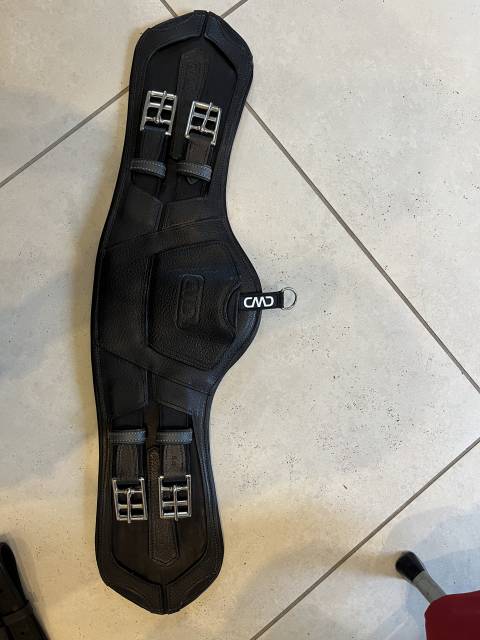 Sangle de dressage courte CWD