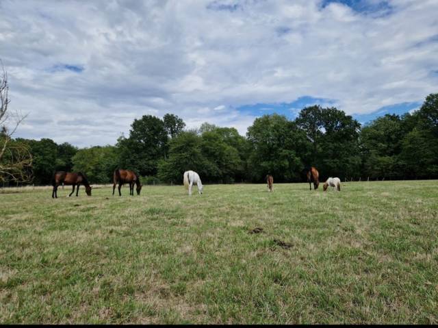 Pension pré retraite villiers le mahieu (78)