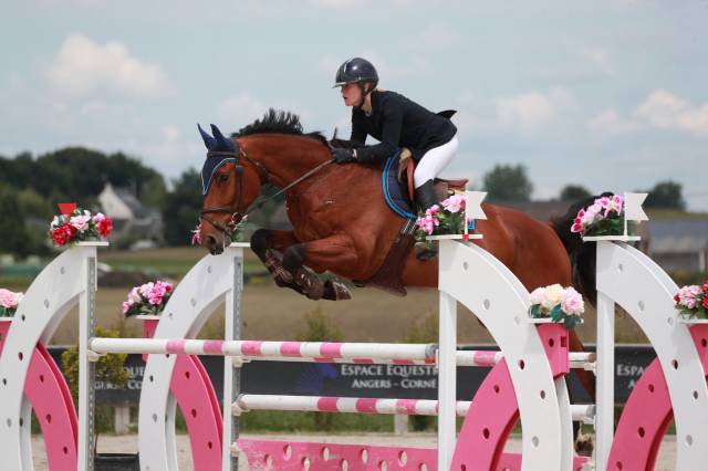 Super hongre de 7 ans 