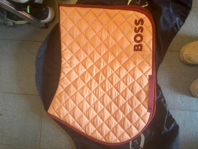 Tapis cheval  très bon état marque BOSS