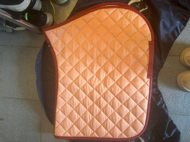 Tapis cheval  très bon état marque BOSS