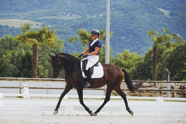 Jument dressage experience en compétition