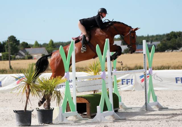 Hongre - 10 ans - cso hunter - exp. 125/130