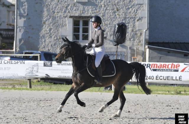 Dépôt vente - valorisation - débourrage