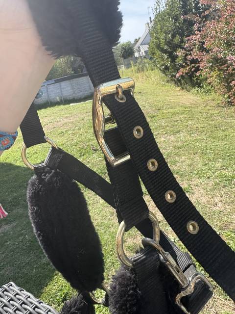 Licol équitation en mouton synthétique Cheval - noir