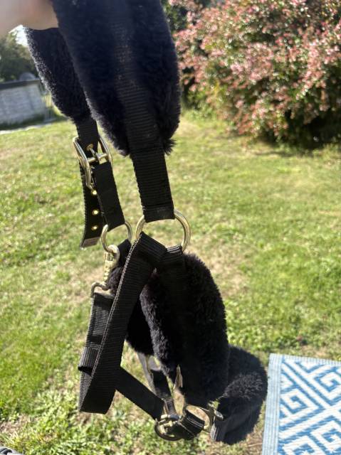 Licol équitation en mouton synthétique Cheval - noir