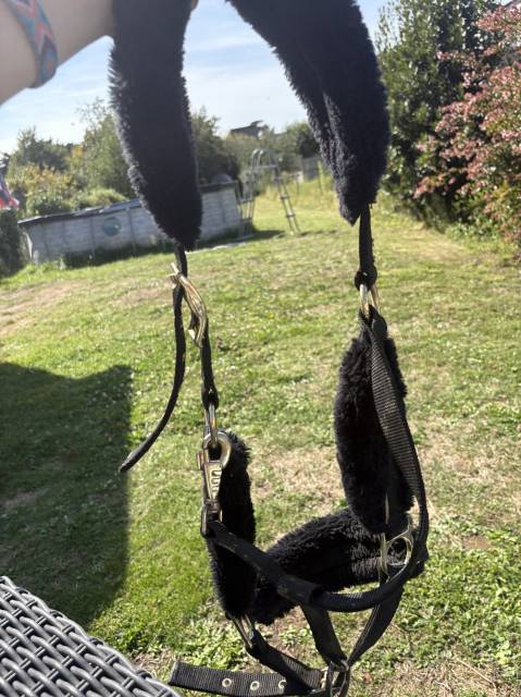 Licol équitation en mouton synthétique Cheval - noir