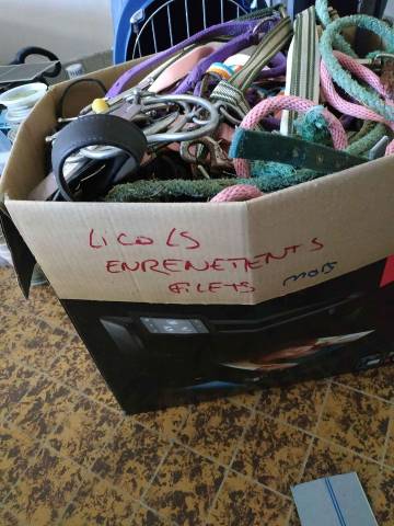 Lot de matériel d'équitation