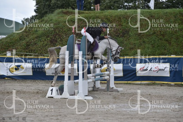 Ponette de sport welsh