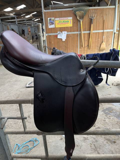 Selle Cwd se 2017