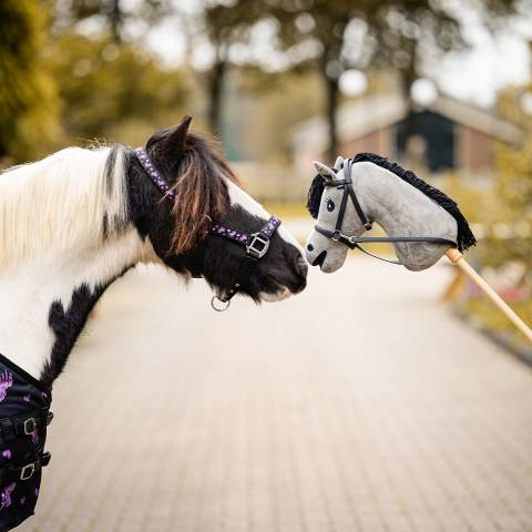 Licol Lize - QHP - Imprimé licorne, confort rembourré