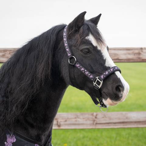 Licol Lize - QHP - Imprimé licorne, confort rembourré