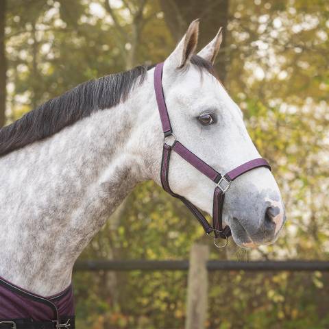 Ensemble licol et longe AW25 - QHP - Rembourré