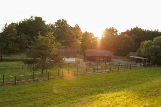 Propriété équestre a vendre 