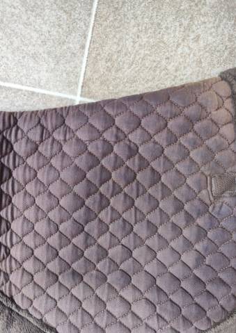 Amortisseur de dos Equith&egrave;me Marron