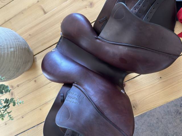 Selle GBS année 2020 17 pouces