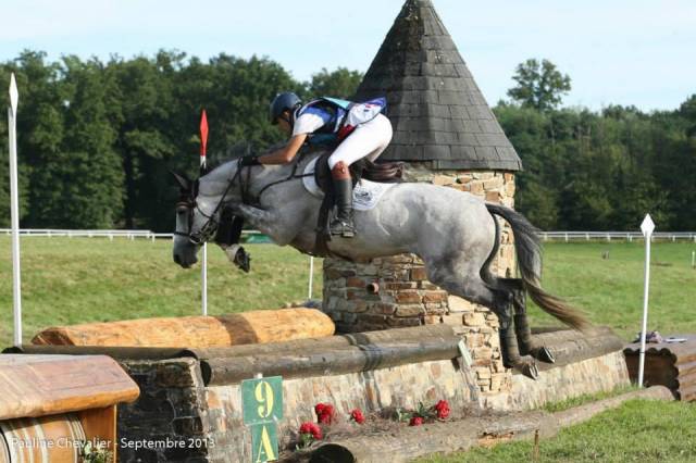 Pouliche aa pour prestige kalone et souche du château