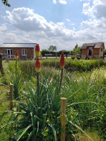 Village équestre à vendre dans le 61 - orne