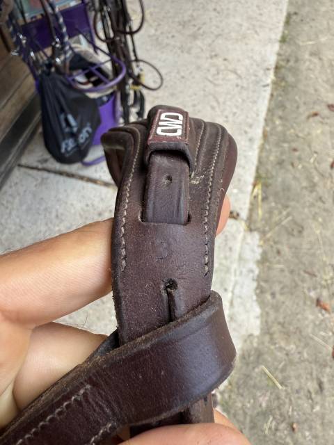 Bridon cwd t3 havane