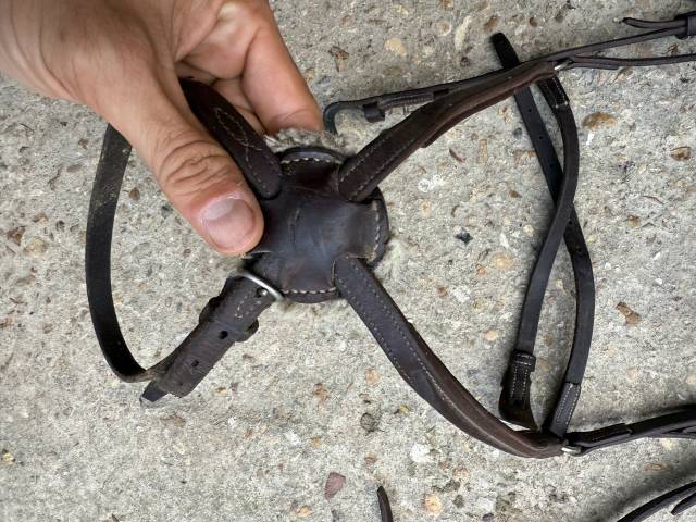 Bridon cwd t3 havane