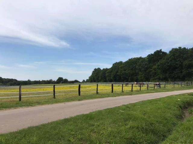 Pensions chevaux - ferme équestre de beauregard - 89350