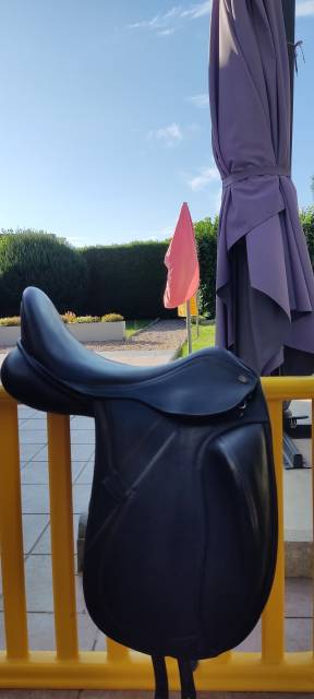 Selle PDS Carl Hester 