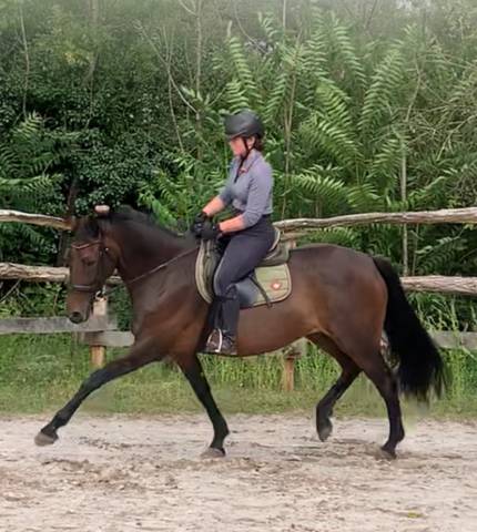 A vendre cause depart aux études