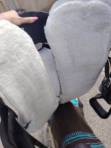 Selle western excellent état 