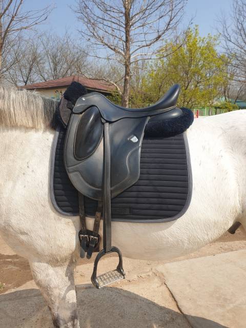 Selle de dressage Bates Artiste-État exceptionnel