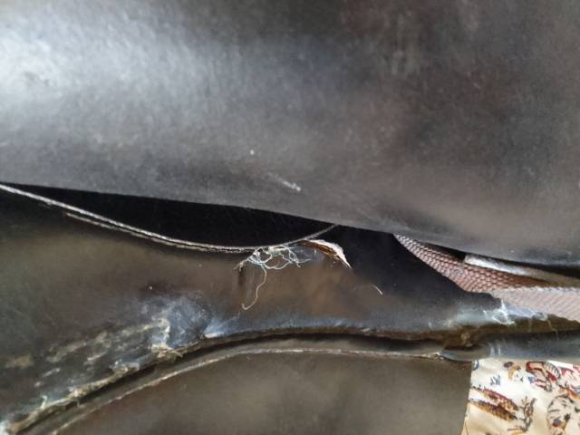 vente selle prestige