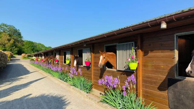 Les ecuries d'haravilliers - pension box/paddock (95)