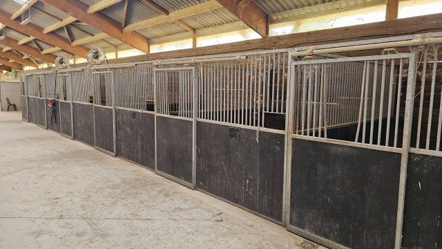10 BOXES A CHEVAUX