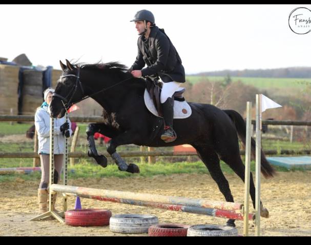 Tempo du douet - a vendre trotteur français